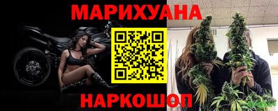 apvp Славгород